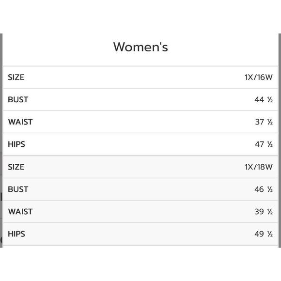 Ashro Lavita Blue Floral V-Neck Dress 1X 16/18 Smocked Waist Short Sleeve - Picture 15 of 16